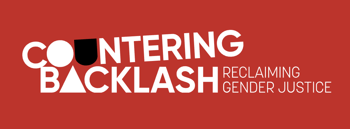 Backlash critical essays picture